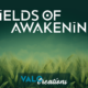 Update: Introducing “Fields of Awakening”